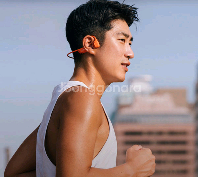 샥즈 오픈런프로2/미니도 있어요 판매중 최저가!--0