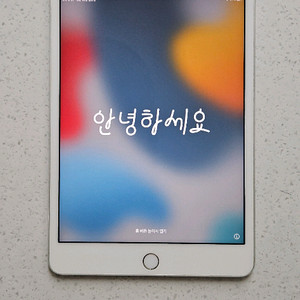 아이패드 미니4 64기가 셀룰러 팝니다(대구)