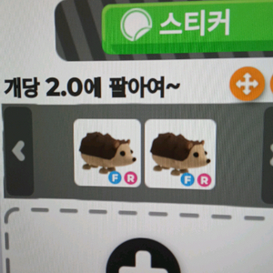 입양하세요 도치
