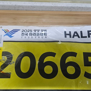 양양마라톤 9/13 하프 양도 사이즈L