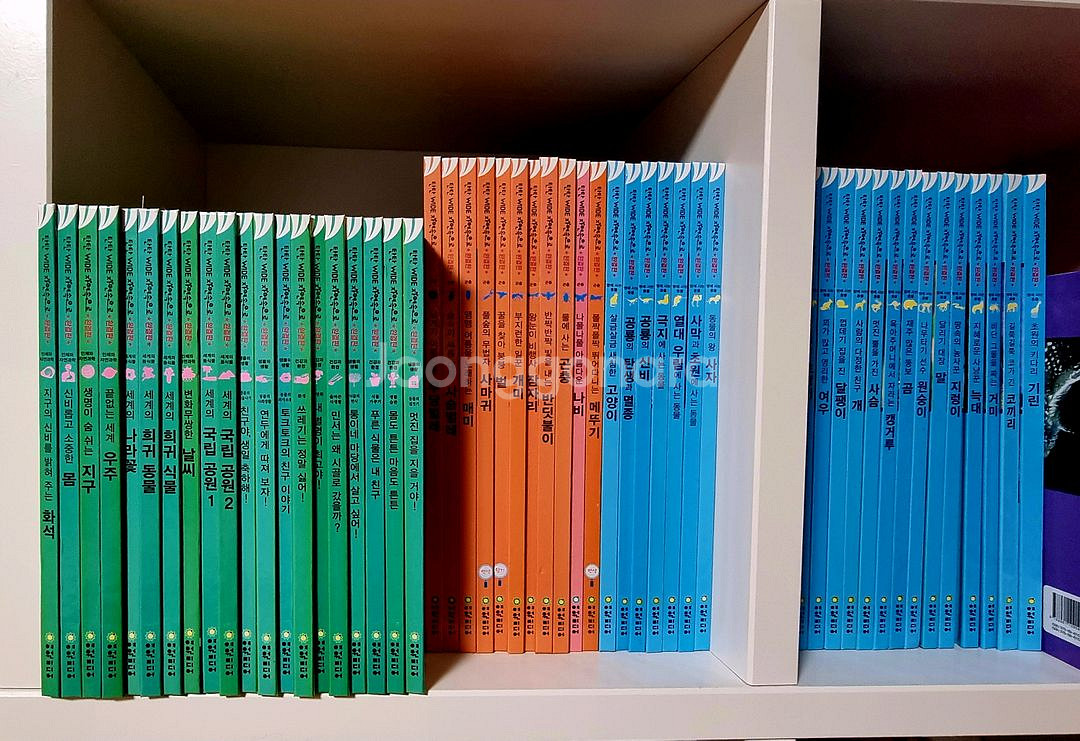 탄탄와이드 자연속으로 완결판--1