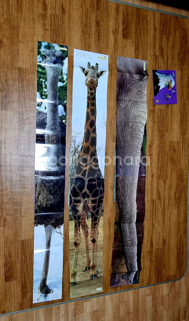 탄탄와이드 자연속으로 완결판--0