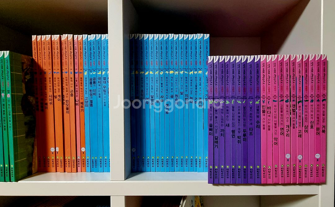 탄탄와이드 자연속으로 완결판--2