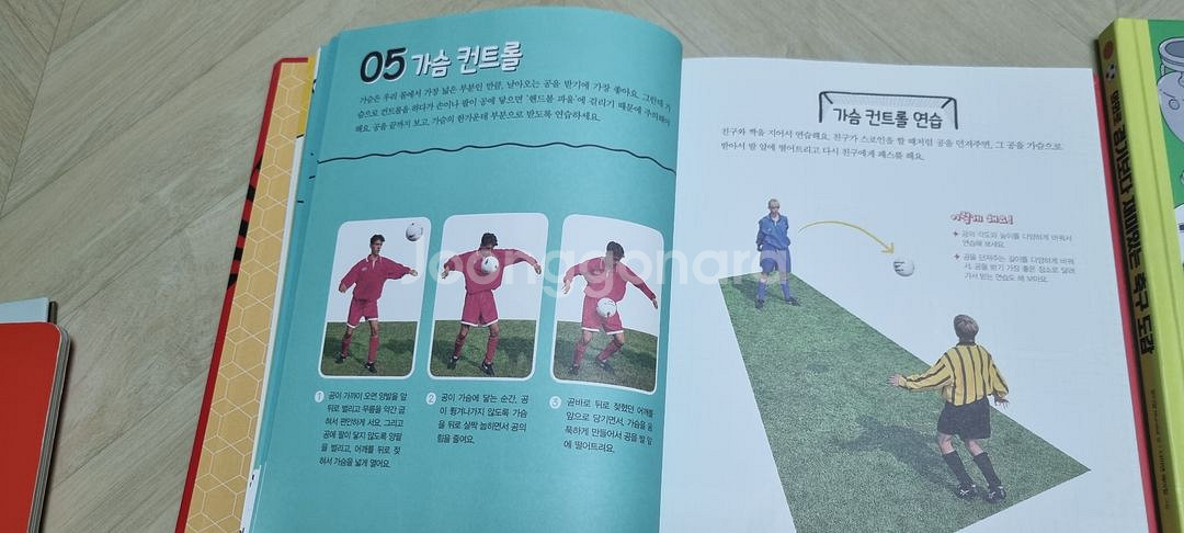 축구도감등 어린이그림책 2권--2