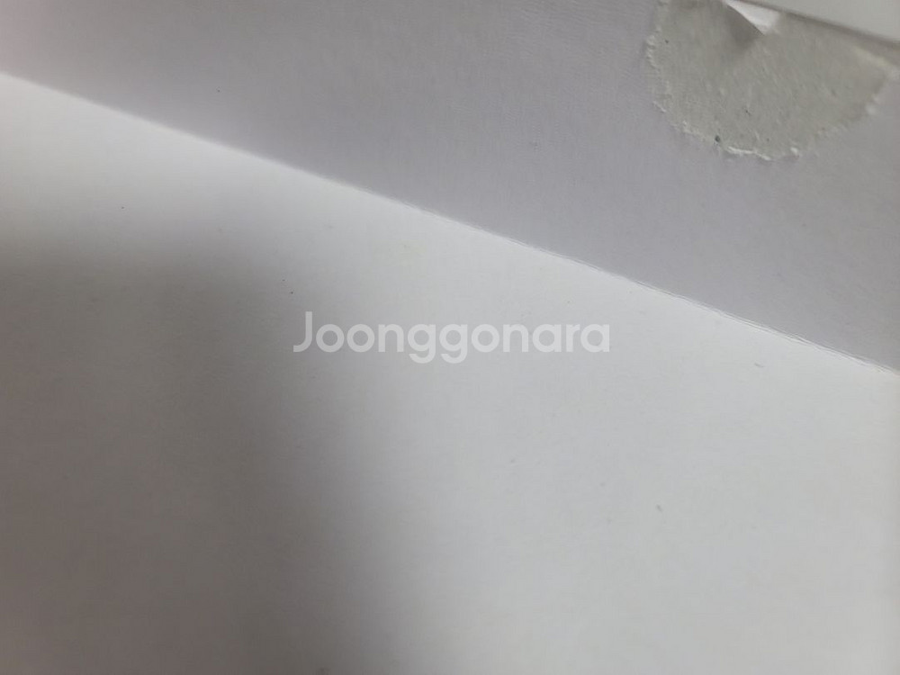 슈가슈가룬 와디즈 펀딩 풀세트 바닐라 에디션--2