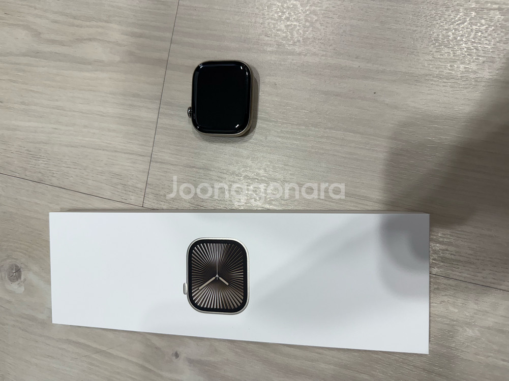 애플워치10 46mm 네츄럴 티타늄 애케플 밀레니즈루프--2