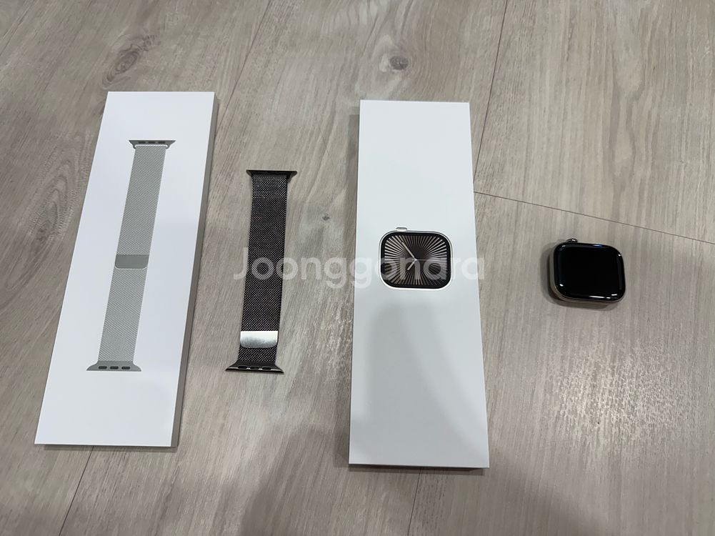 애플워치10 46mm 네츄럴 티타늄 애케플 밀레니즈루프--1