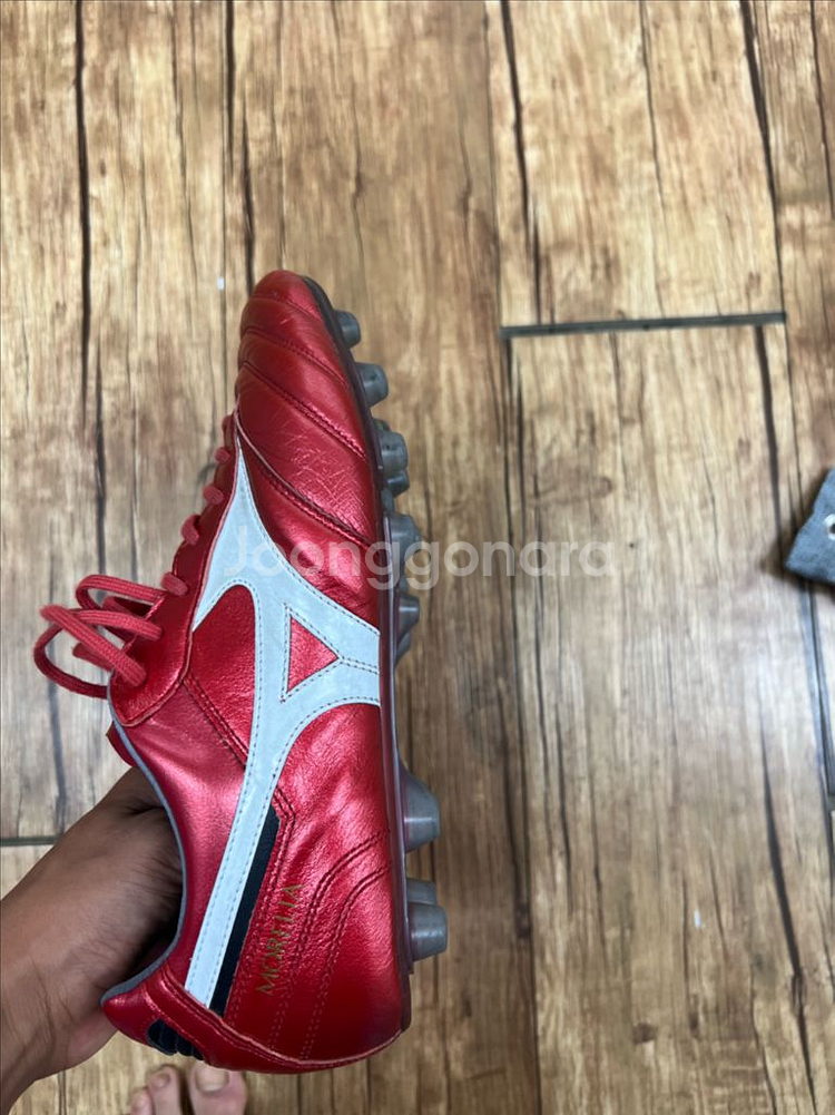 미즈노 모렐리아 네오 40주년 팩 265--5