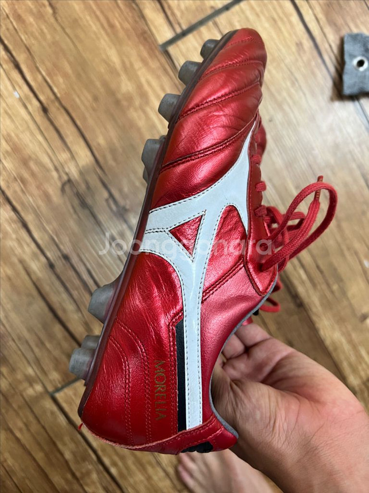 미즈노 모렐리아 네오 40주년 팩 265--6