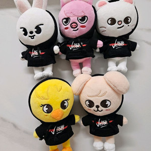 스트레이키즈 스키주 미니