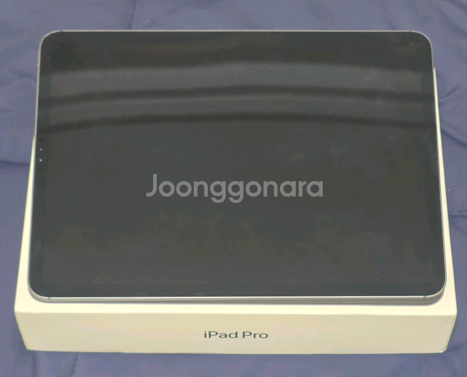 아이패드 프로 11 2세대 (1TB, 셀룰러)--1