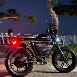 엑스라이더 X200 터보 60V 2000W 55Ah