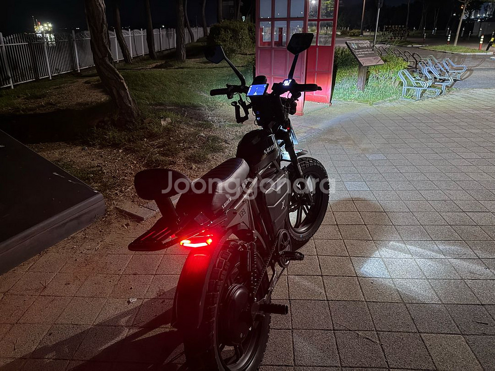 엑스라이더 X200 터보 60V 2000W 55Ah--1