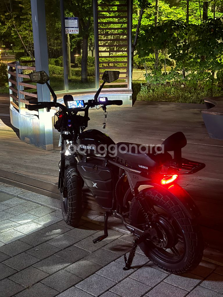 엑스라이더 X200 터보 60V 2000W 55Ah--2