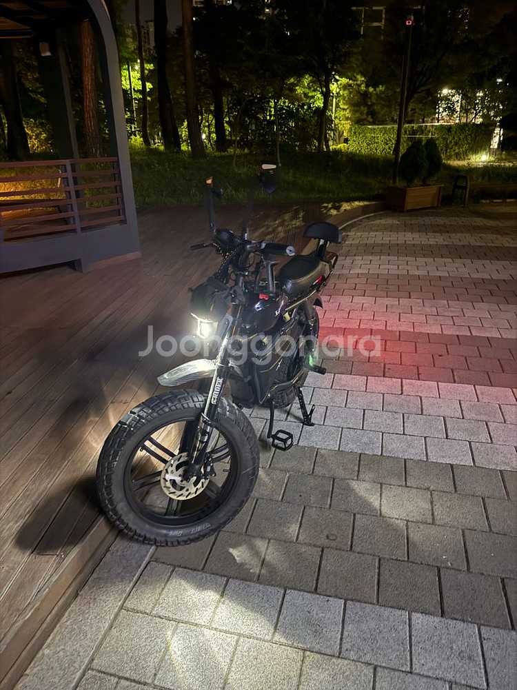 엑스라이더 X200 터보 60V 2000W 55Ah--3