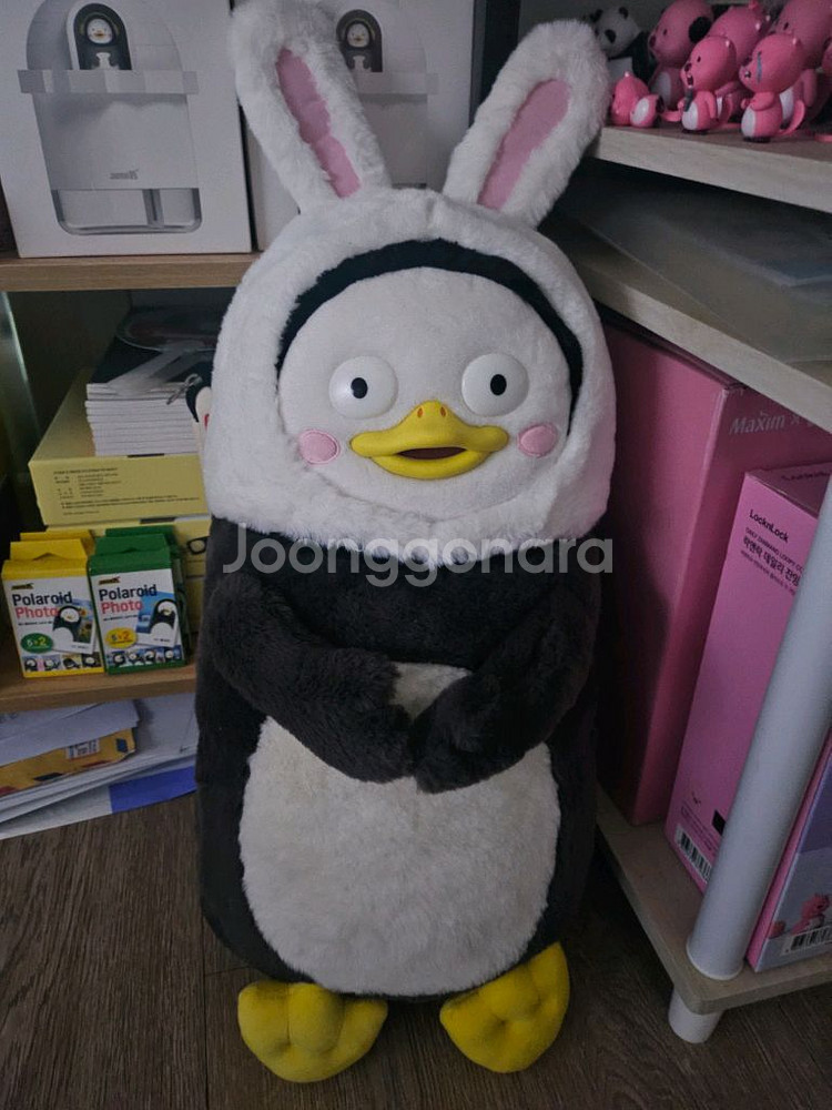 펭수--0