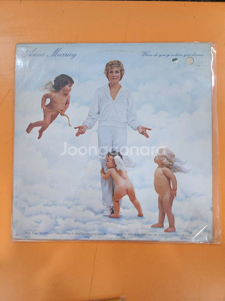 LP 판매 (USA PRESS)--4