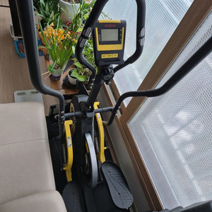 운동기구및의자