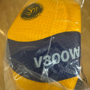 배구공 (미키사 V300W)