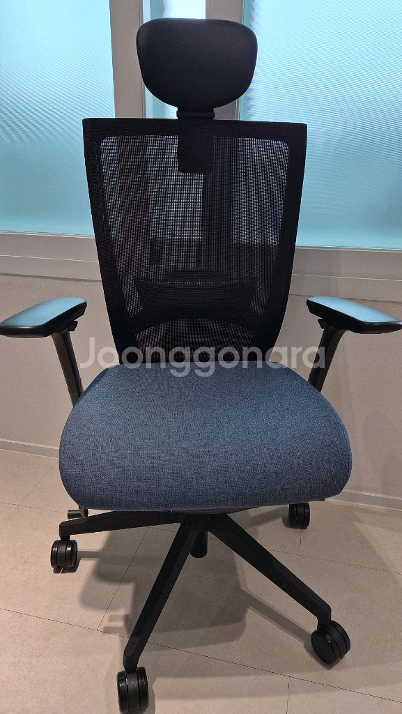 시디즈 T50 HLDA--0