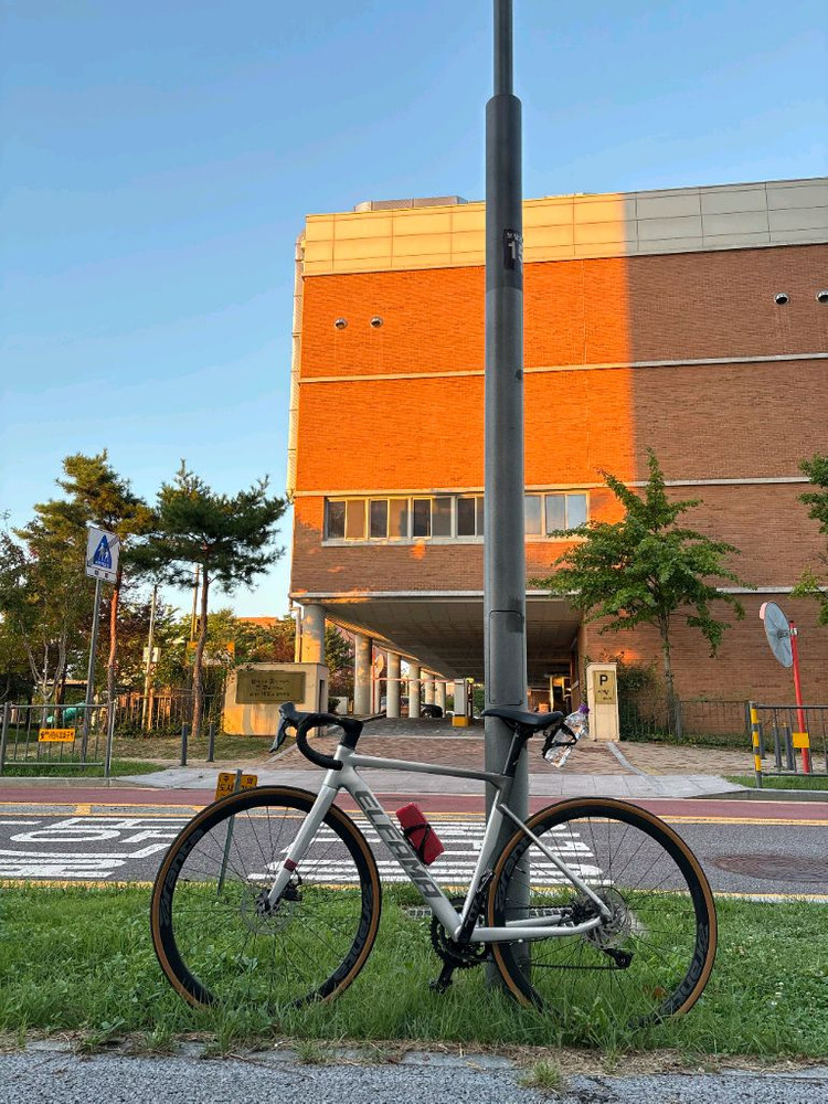 엘파마 로드너 24년식 로드--1