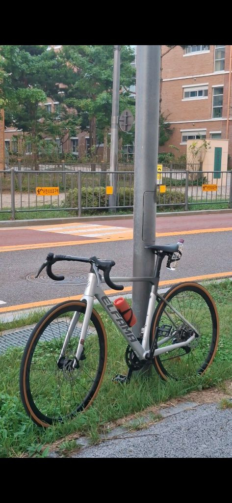 엘파마 로드너 24년식 로드--2