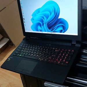 한성 보스몬스터 EX54 / GTX980M / A급