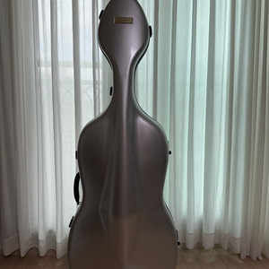 갤럭시 첼로 케이스