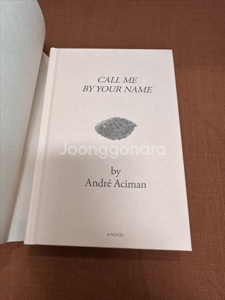 <그해, 여름 손님> 절판 양장본 (콜미바이유어네임)--3