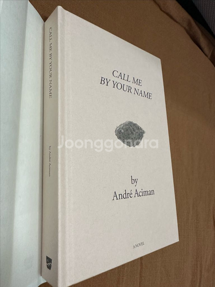 <그해, 여름 손님> 절판 양장본 (콜미바이유어네임)--5