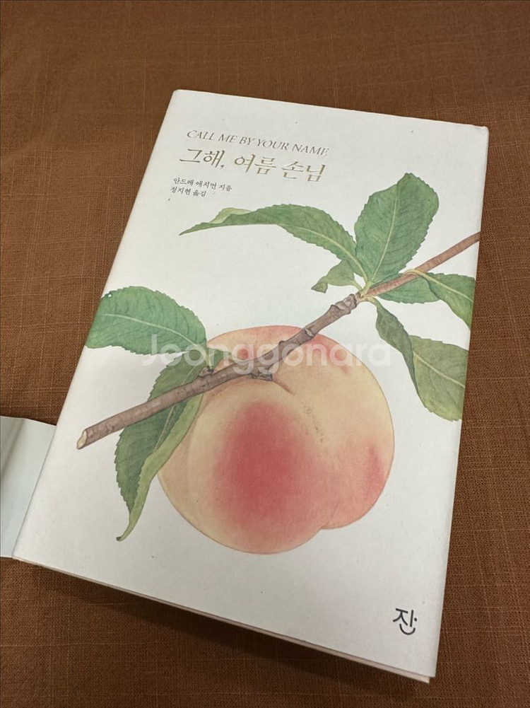 <그해, 여름 손님> 절판 양장본 (콜미바이유어네임)--4