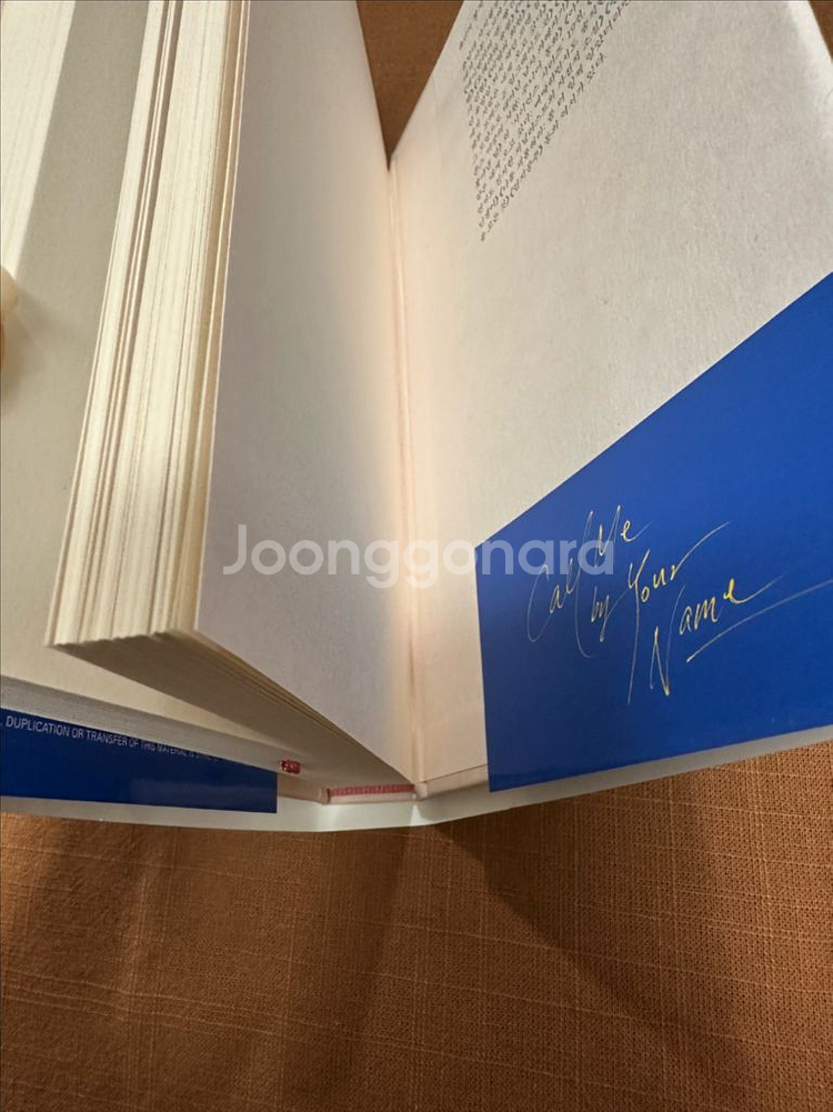 <그해, 여름 손님> 절판 양장본 (콜미바이유어네임)--6