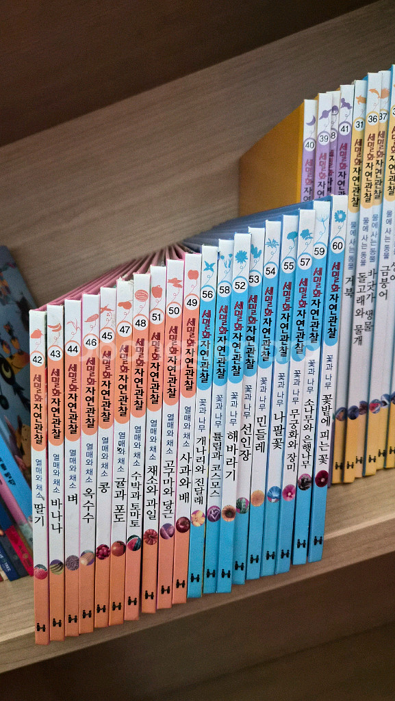 세밀화 자연관찰 전집60권--1
