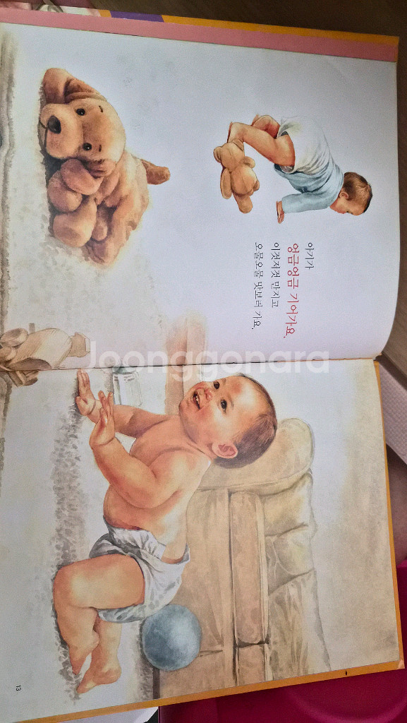 세밀화 자연관찰 전집60권--5