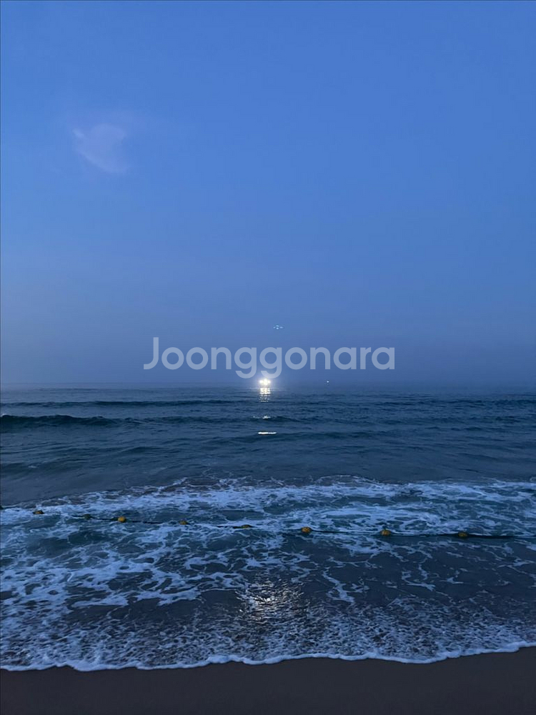 네이버 대리 80퍼 구해요--0