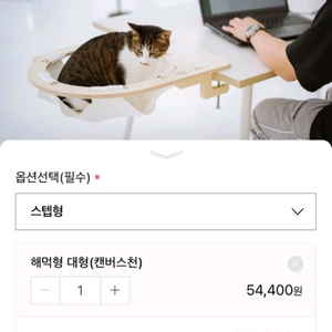 고양이 해먹