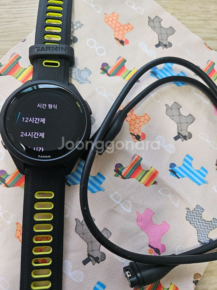 가민 포러너 265s--3