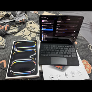 아이패드 프로 11 (M4) 256GB Wi-Fi