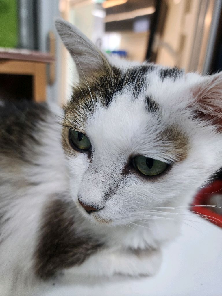 profile-image