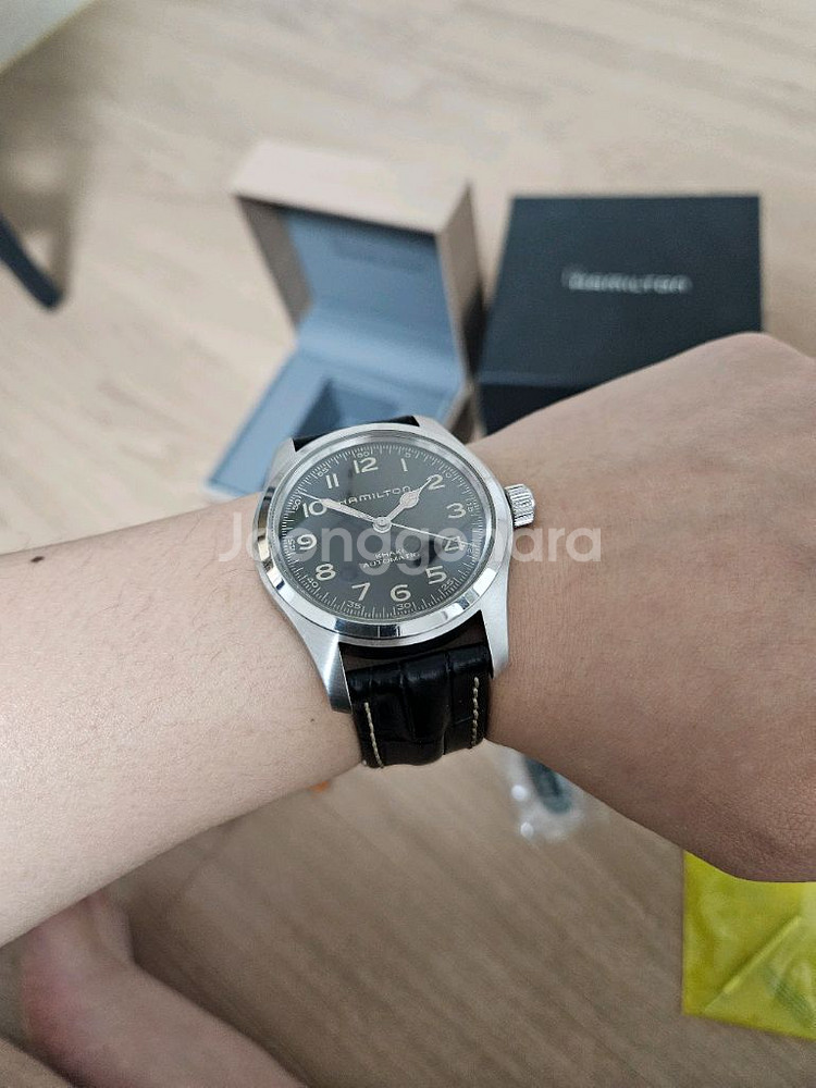 해밀턴 머피42--0