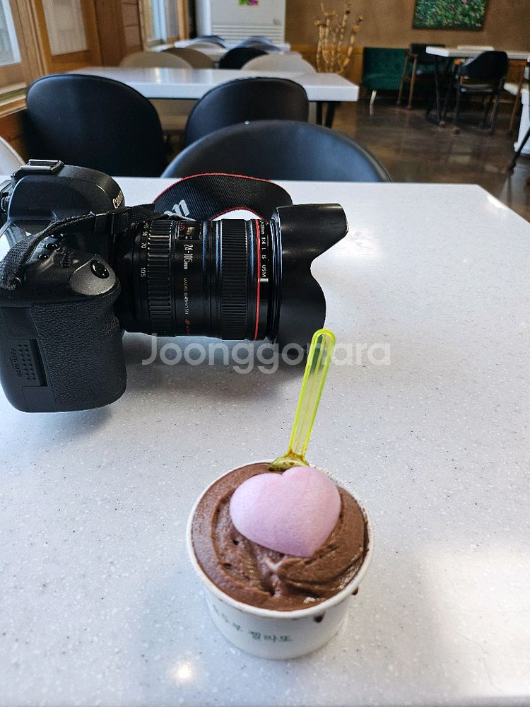 5D mark II + 24-105 F4--0
