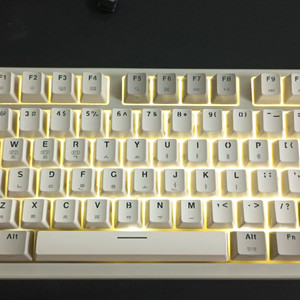 마이크로닉스 WIZMAX W85TKL 키보드 유무선