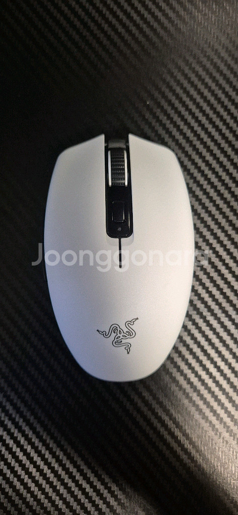 razer 오로치 v2 화이트--0
