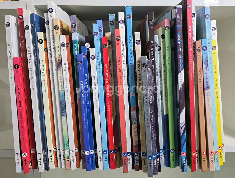 도로시책끼 48권--0