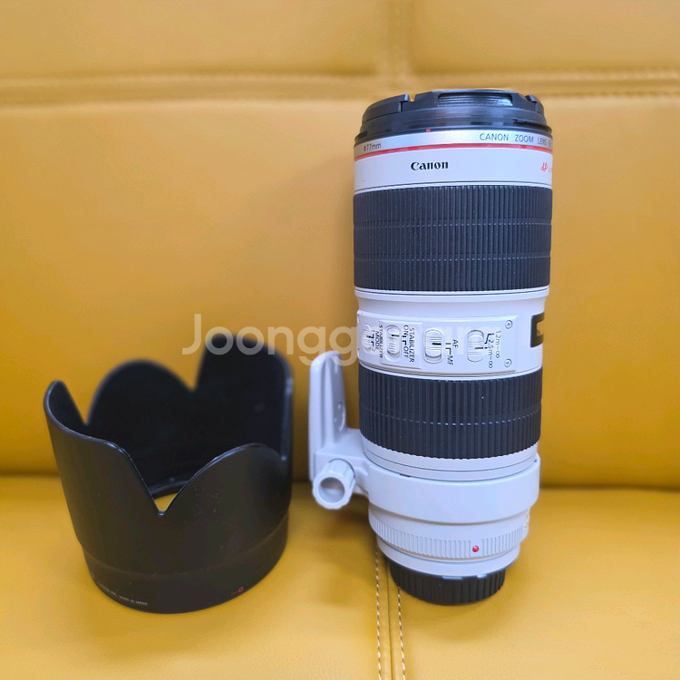 캐논 70-200 2.8 L IS II USM--1