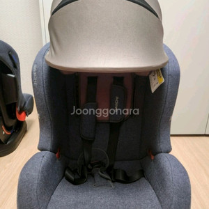 다이치토들러 카시트