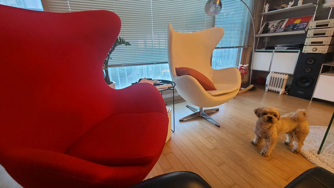 프리츠한센.st 에그체어 2개 일괄 이미지