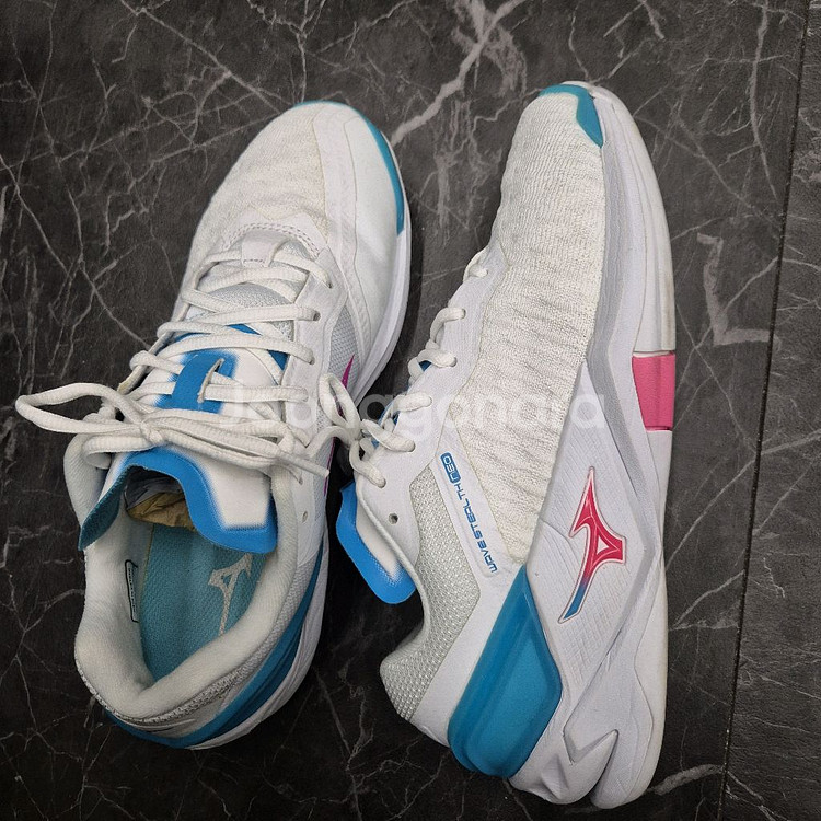 미즈노 배드민턴화 245--3