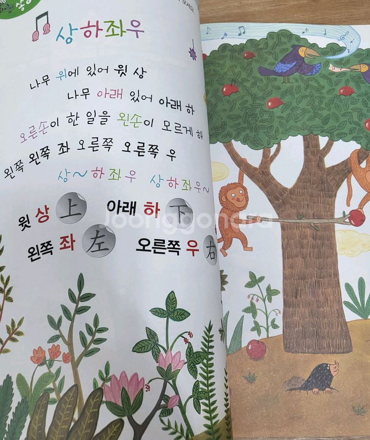 새알 한자 1단계 9권 세트--2