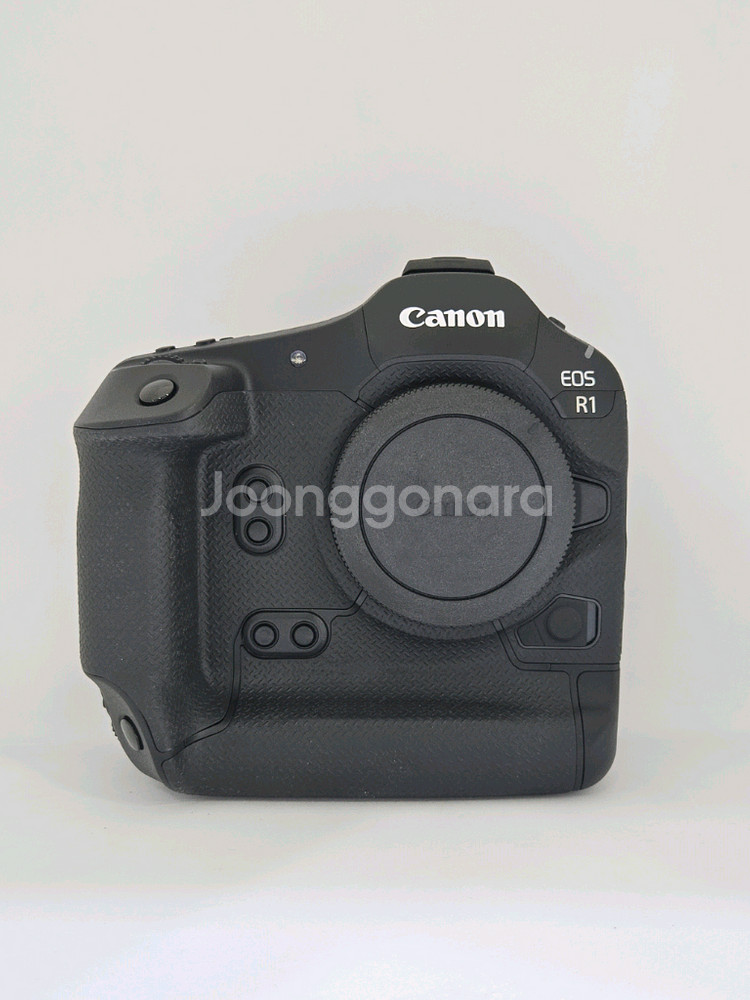 캐논 EOS R1--0